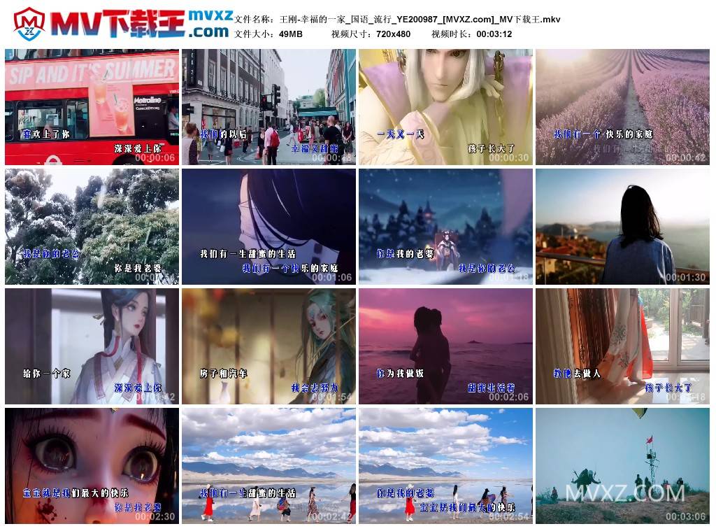 王刚-幸福的一家_国语_流行_YE200987